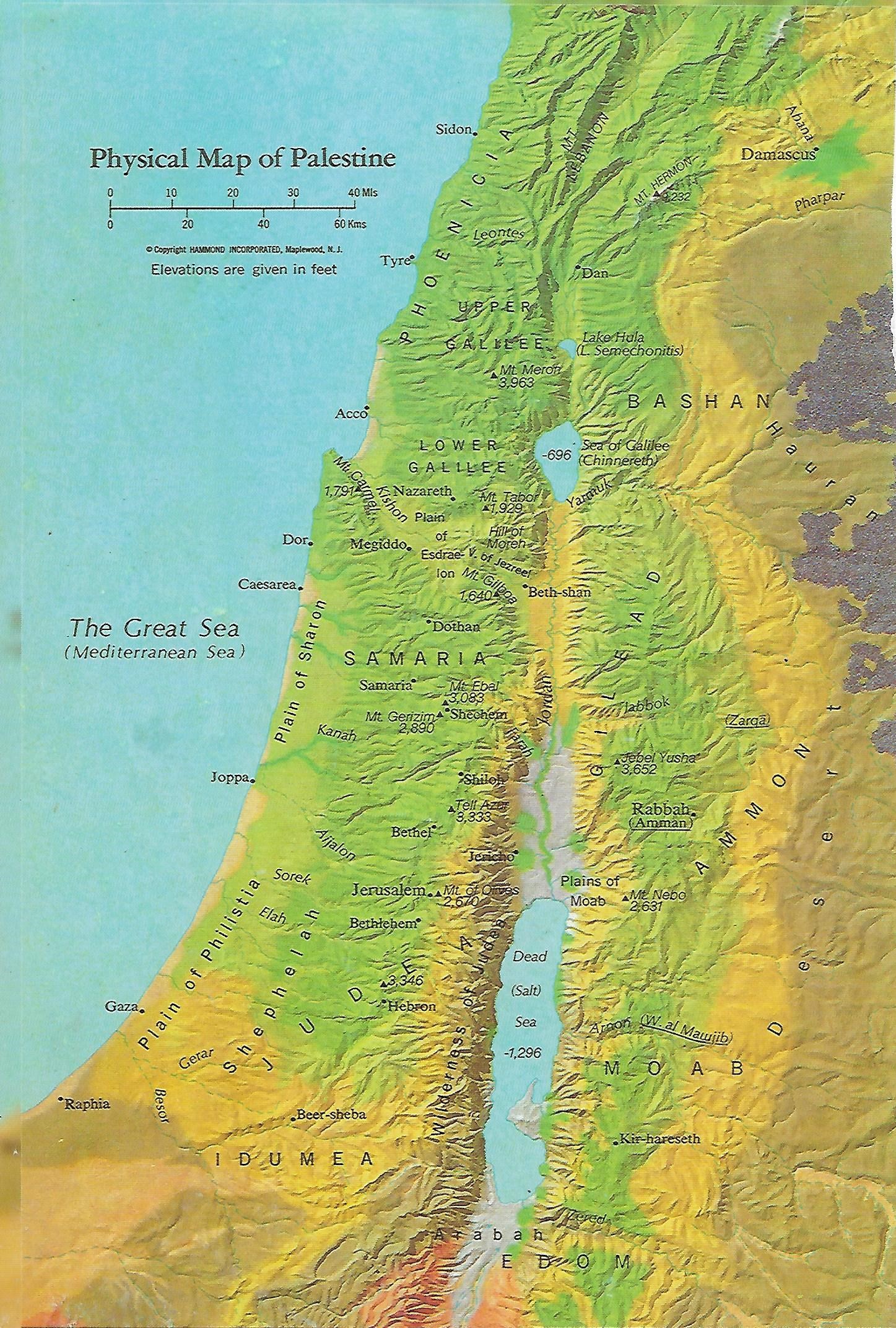 Physical Map of Palestine