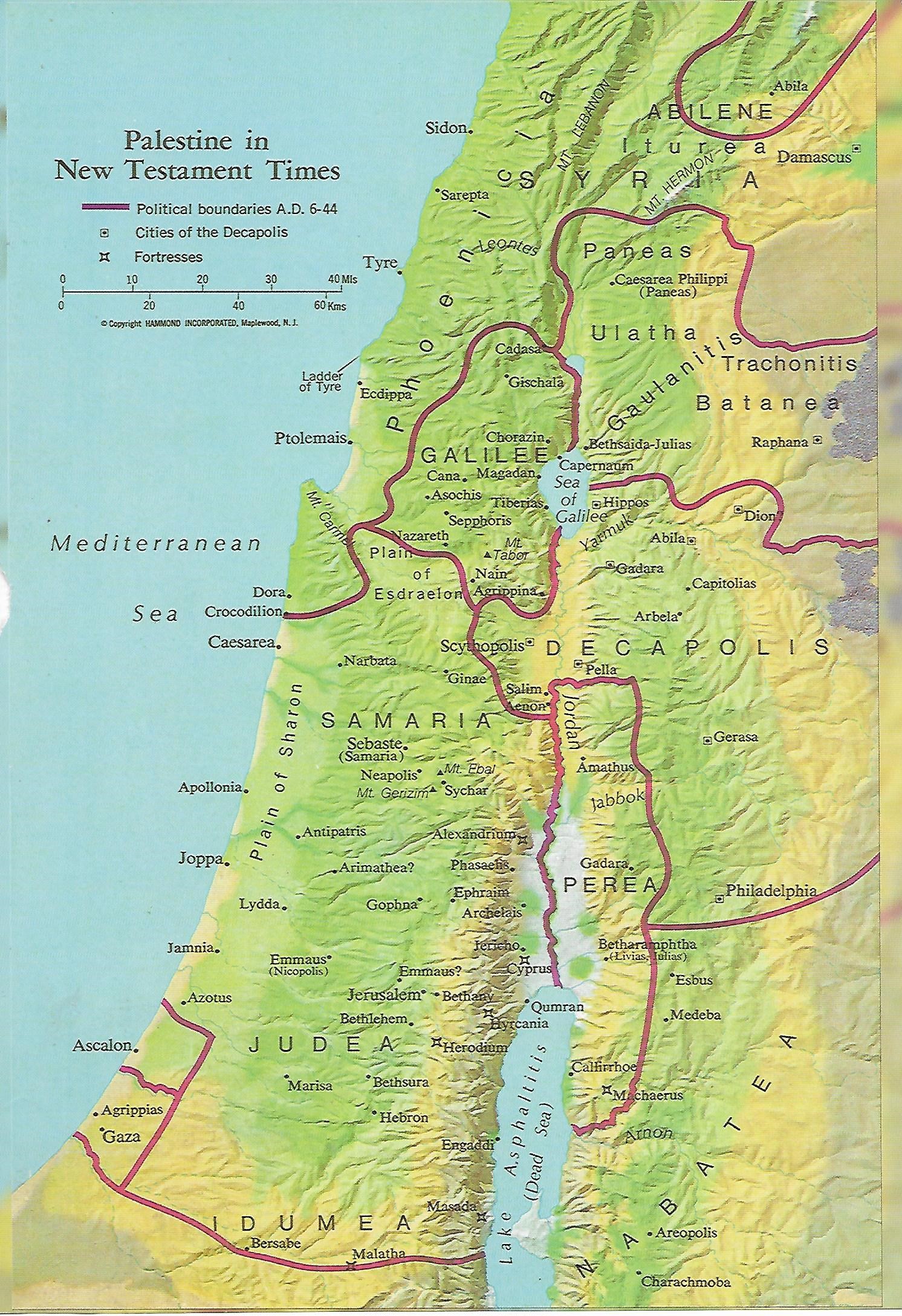 Palestine in NT times