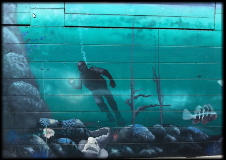 Bc Dive & Kayak Lower part of the mural