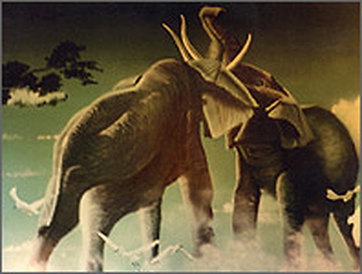 Elephant Mural