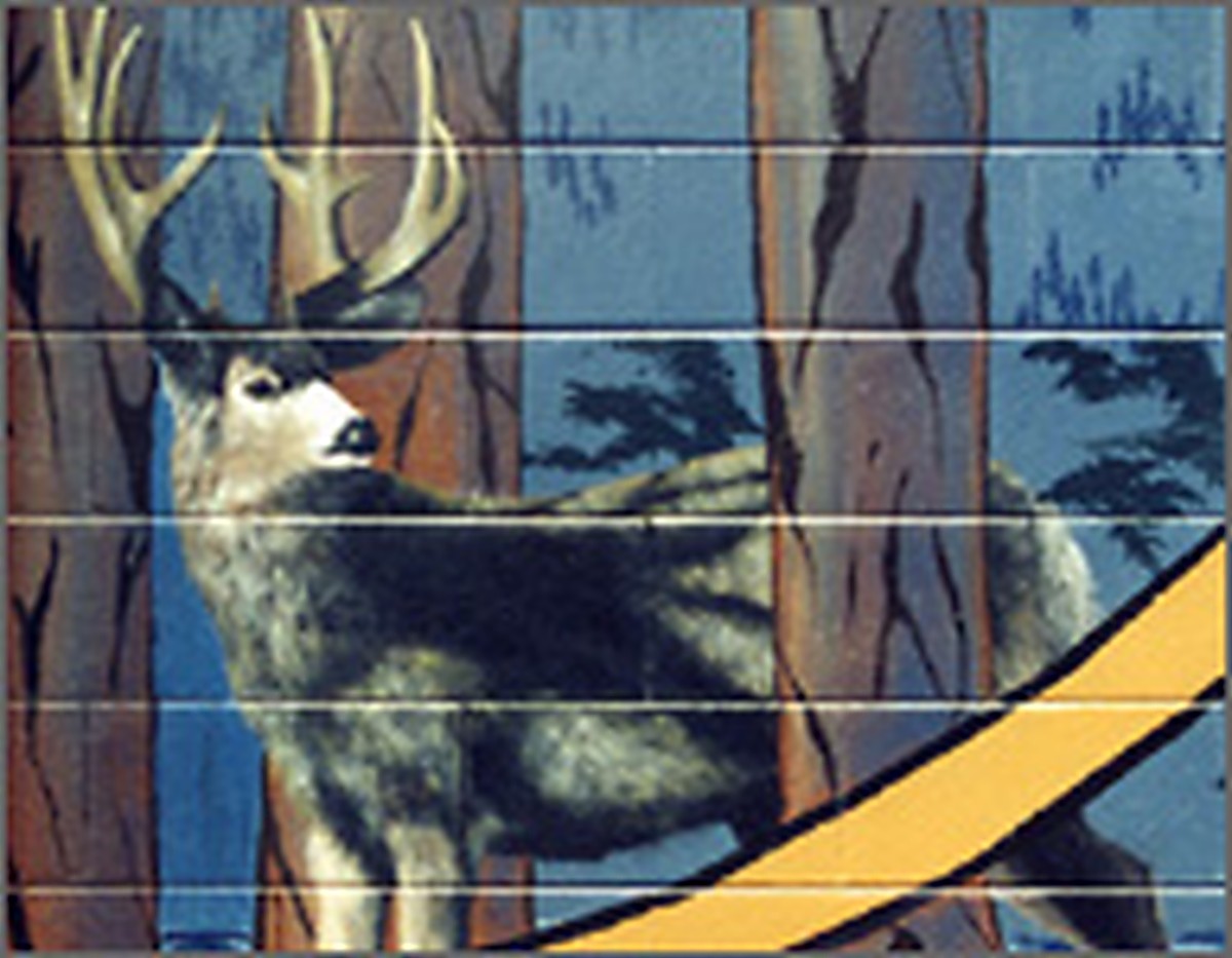 Mule Deer